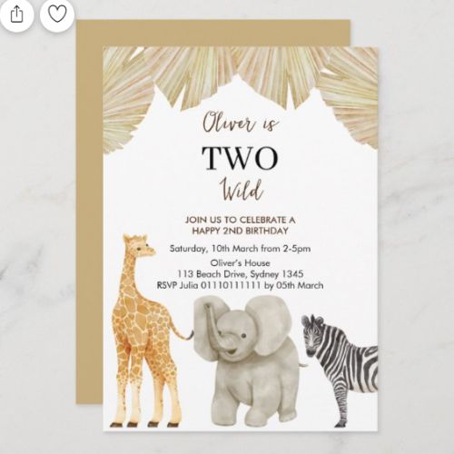 two wild safari birthday decorations